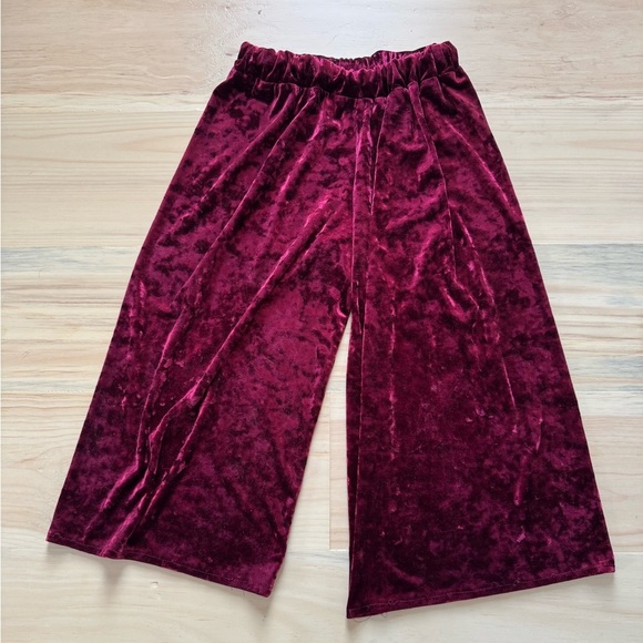 Paade Mode Velvet Wide Trouser - Picture 1 of 2